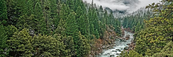 Sierra County Mountains